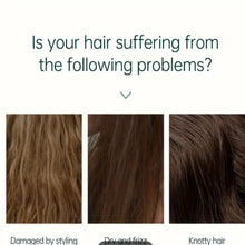 Okeny's Ginger Hair Growth Essence Oil – 50ml Natural Hair Loss Treatment  Promotes Hair Regrowth & Strengthens Follicles